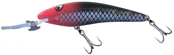 Killalure River Rat