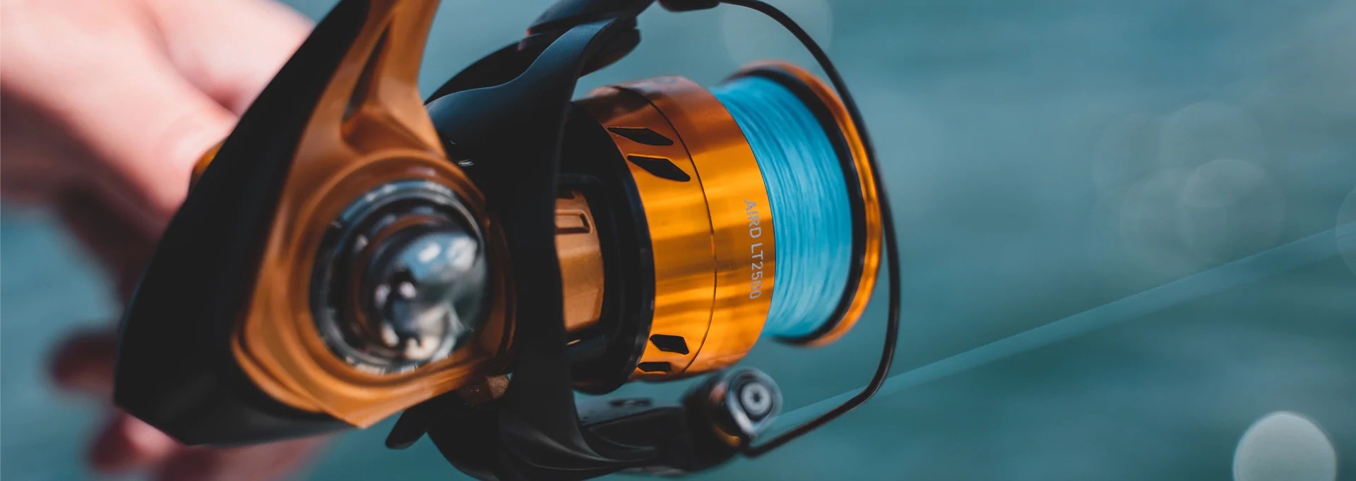 Daiwa Aird