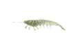 Irukandji Megaprawn 125mm/5" [col:strobe]