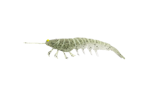 Irukandji Megaprawn 125mm/5" [col:strobe]