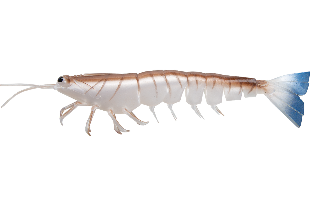 Irukandji Megaprawn 102mm/4" [col:blood N Bone]