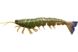 Irukandji Megaprawn 102mm/4" [col:camo]