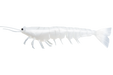 Irukandji Megaprawn 102mm/4" [col:frost]