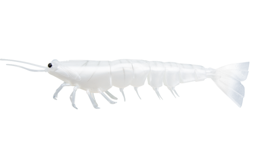 Irukandji Megaprawn 102mm/4" [col:frost]