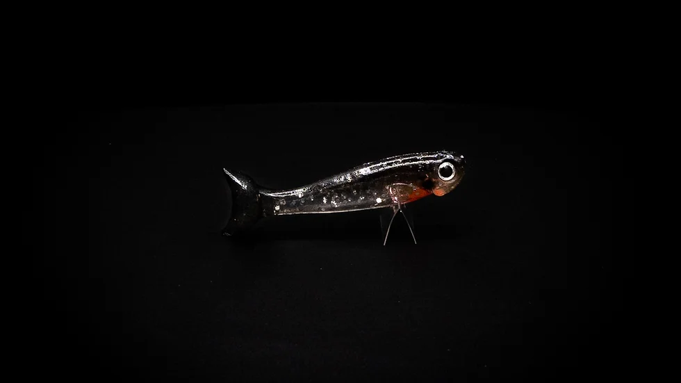 bite me fishing lures Bite Me 3" Barra Wedgies — Fishing & Outdoor World
