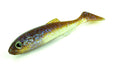 Molix Real Thing (rt) Shad 7'' [col:wakasagi]