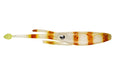 Nomad Live Ops Jerksquid 5" Soft Plastic Lure [col:natural Tiger]