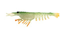 Nomad Live Ops Switcher Shrimp 2.3" Soft Plastic [col:green Ghost Stalker]
